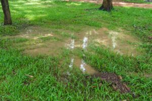 a-puddle-in-the-yard-from-a-broken-pipe-underground