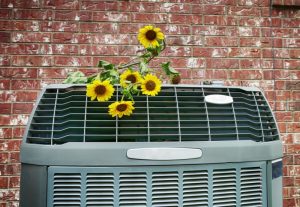 sunflowers-on-AC-unit